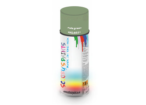 Pale Green Ral6021 Window Door Aerosol Spray Paint Pvc And Upvcgreen Spray