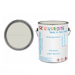 Ral 9002 Grey White For Bicycle Frames Acrylic White Metal Bike 250Ml Tin