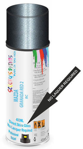 paint for MAZDA PREMACY