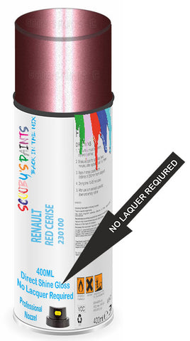 paint for Renault Twingo