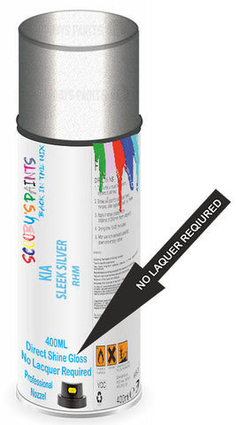 paint for Kia Rio X