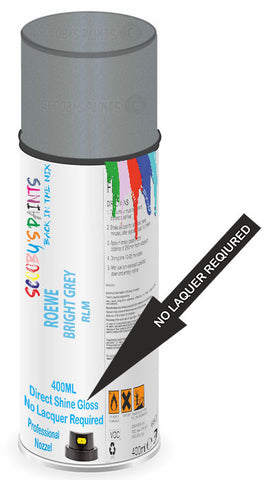paint for ROEWE 