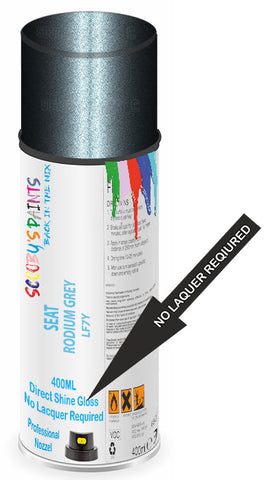 paint for Seat Toledo
