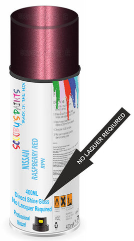 paint for Nissan Primastar