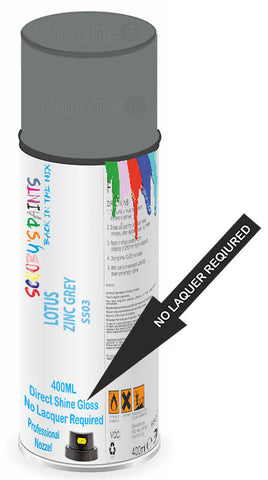 paint for LOTUS 