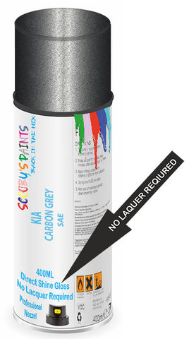 paint for Kia Rio