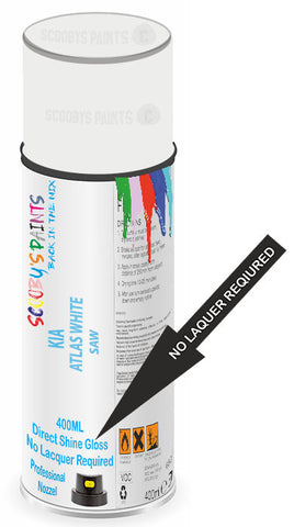 paint for Kia Rio