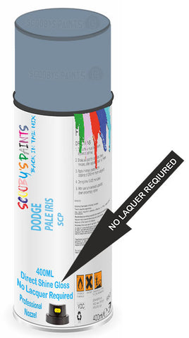 paint for Dodge Caravan