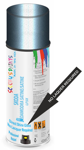 paint for Skoda Enyaq Iv