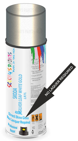 paint for Skoda Citigo