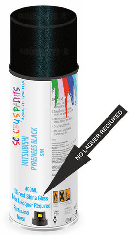 paint for Mitsubishi Dignity