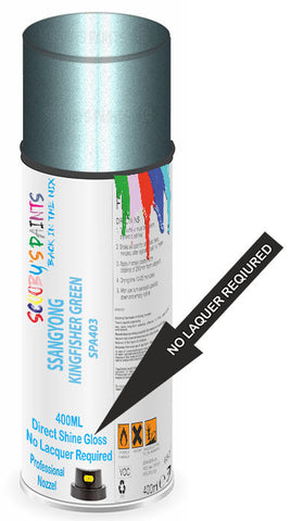 paint for SSANGYONG 