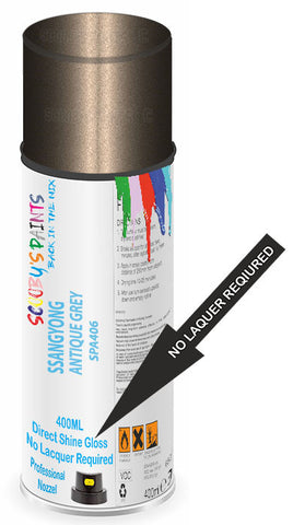 paint for SSANGYONG 