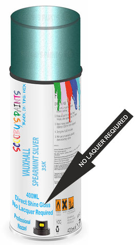 paint for Vauxhall Tigra