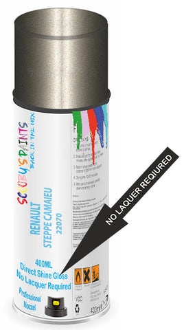 paint for Renault Megane Scenic