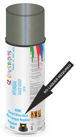 paint for Hyundai Santa Cruz