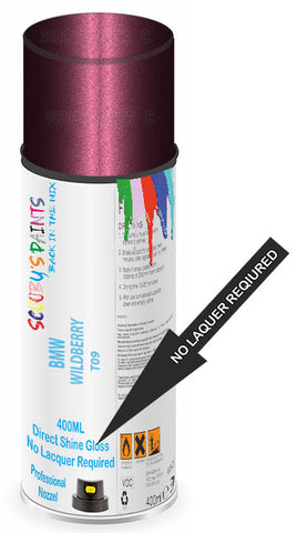 paint for Bmw M4