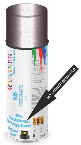 paint for BMW 