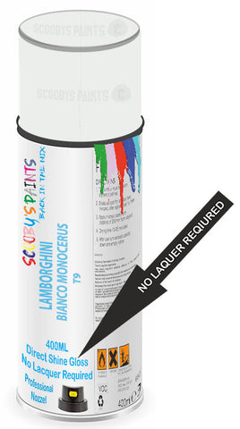paint for Lamborghini Gallardo