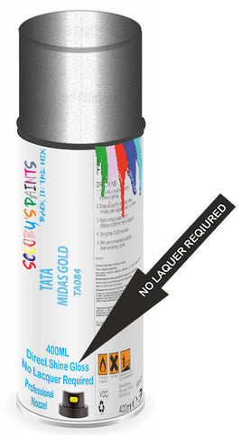 paint for TATA INDIGO MANZA