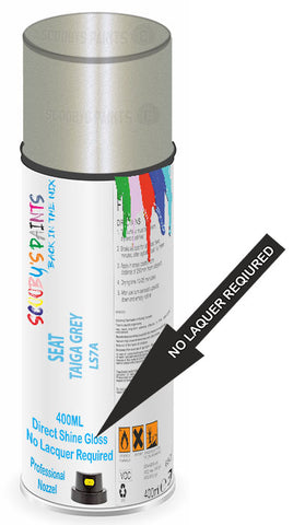 paint for Seat Inca