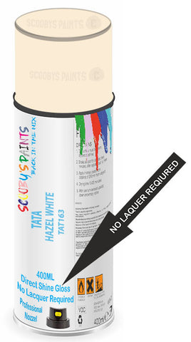 paint for Tata Indigo