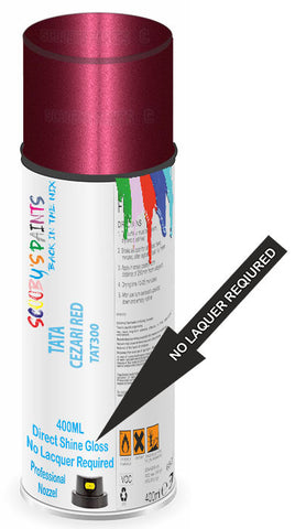 paint for Tata Pick Up