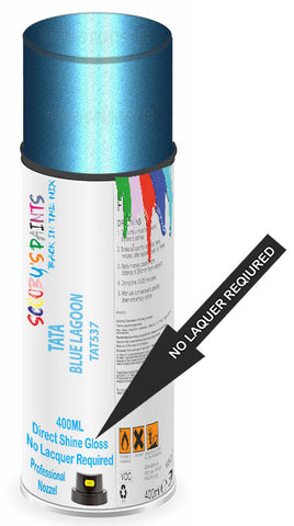 paint for Tata Indica