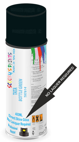 paint for Tata Indigo