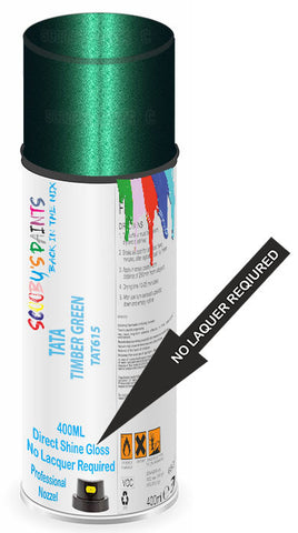 paint for Tata Indigo