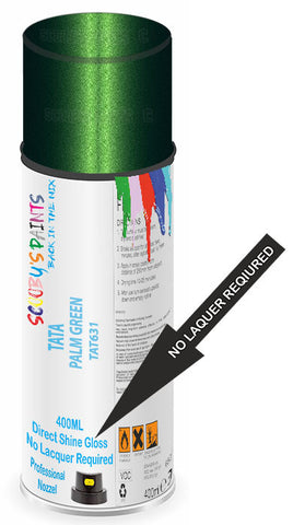 paint for Tata Indica