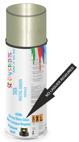 paint for Tata Indica Xeta