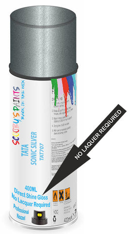 paint for Tata Indigo