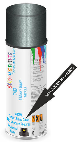 paint for Tata Indica