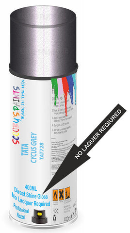 paint for Tata Safari