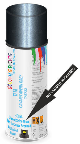 paint for Tata Indica Xeta