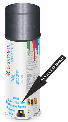 paint for Tata Indica