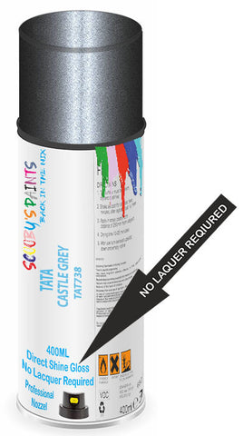 paint for Tata Aria