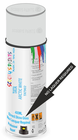 paint for Tata Ace