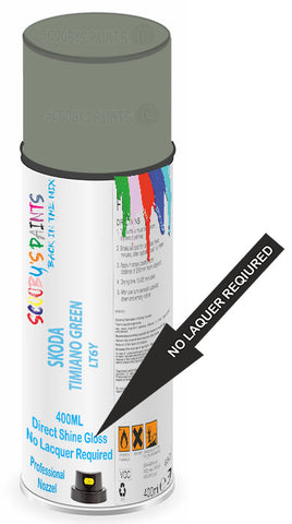 paint for Skoda Enyaq Iv