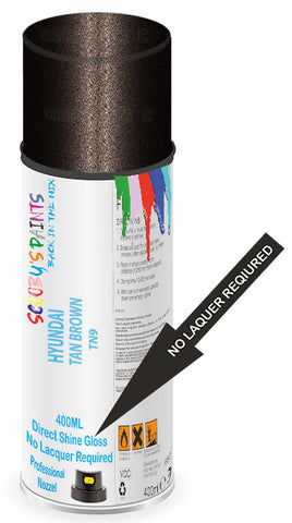 paint for Hyundai H1 Travel