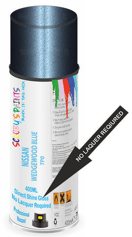 paint for Nissan Quest