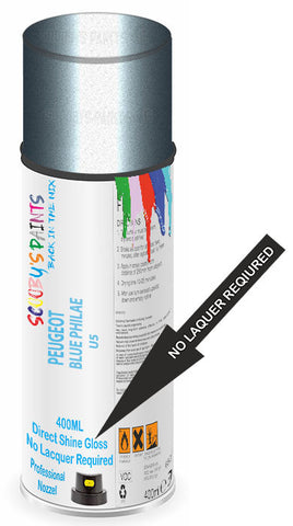 paint for Peugeot 5008