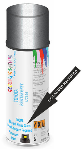 paint for TOYOTA T100