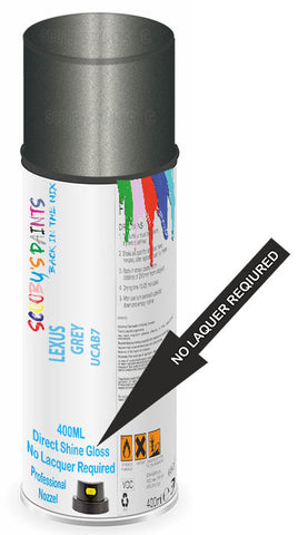 paint for Lexus Rx330