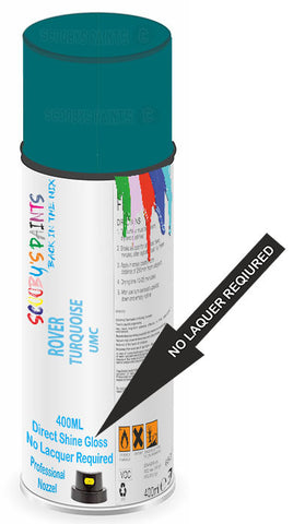 paint for ROVER 800