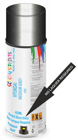 paint for Hyundai Trajet