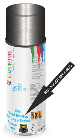 paint for Kia Shuma