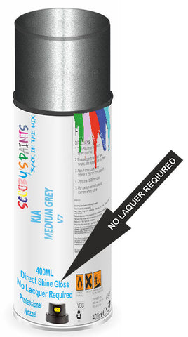 paint for Kia Pregio