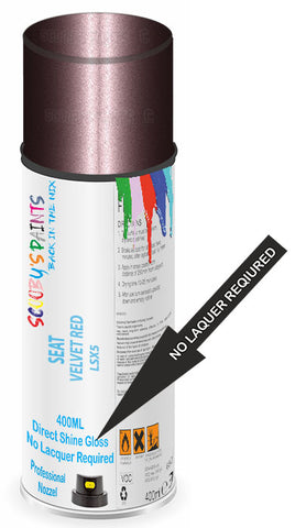 paint for Seat Ibiza St